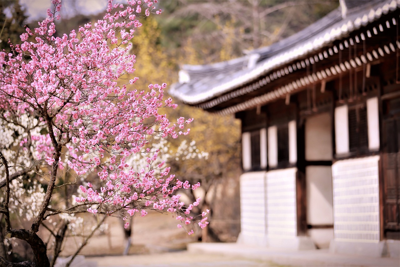 梅花集團(tuán)股吧深度解析，背景、現(xiàn)狀與未來展望探究